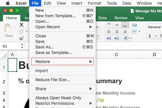 recover past versions of excel file on Mac - Built-in Tool