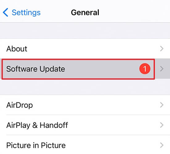 software update ins