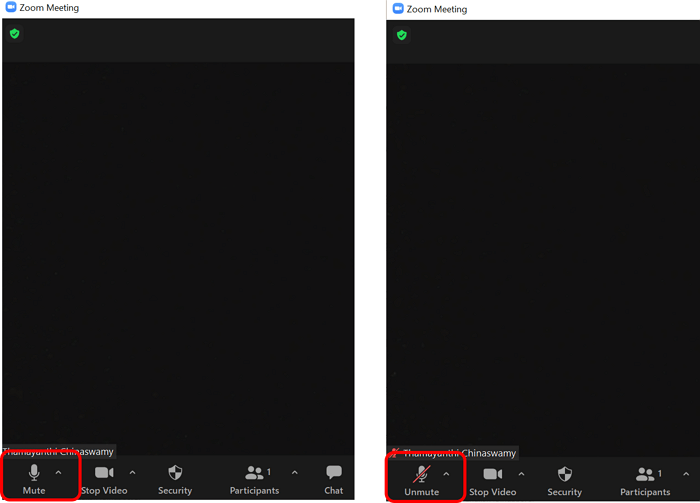 mute zoom