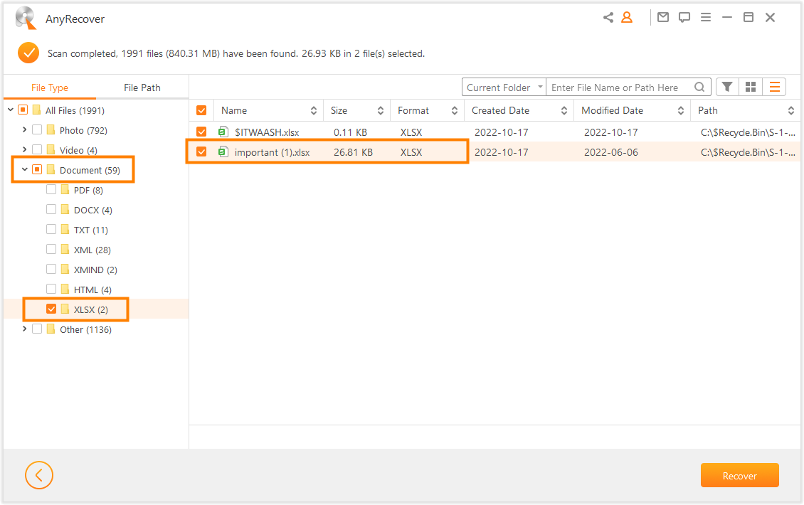 preview and recover excel files with anyrecover