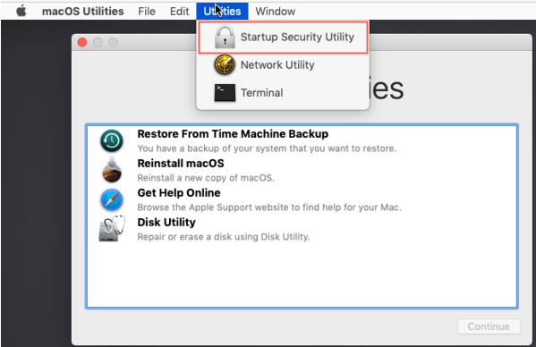 startup security utility